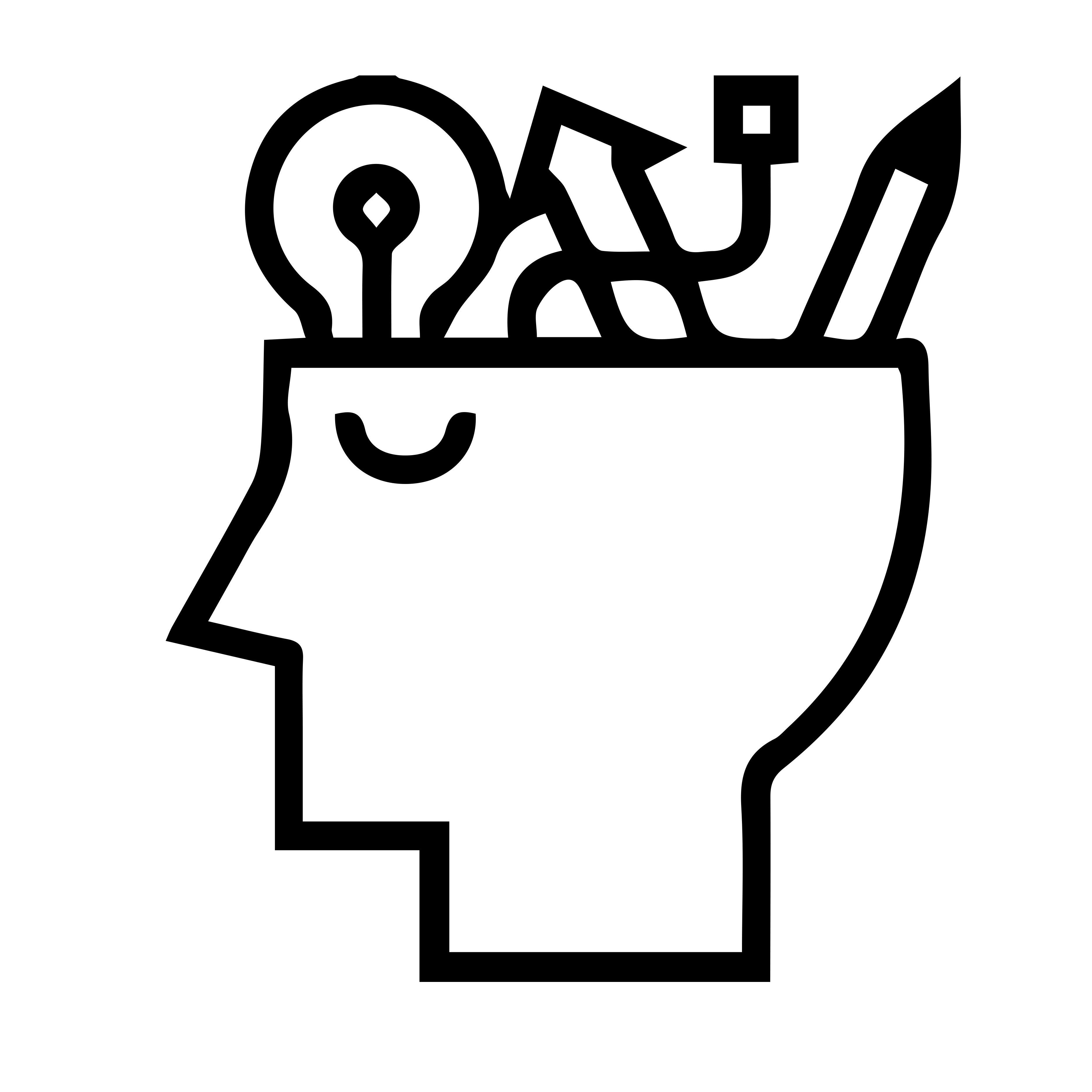 icon-1